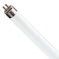 T5 Fluorescent