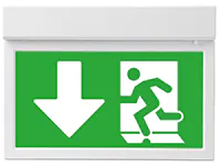 emergency route light